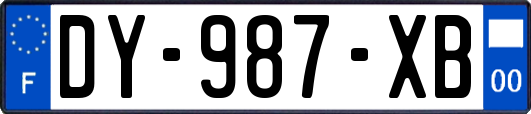 DY-987-XB