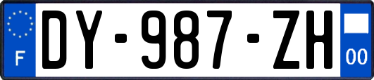 DY-987-ZH