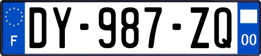 DY-987-ZQ