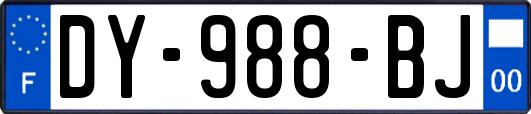 DY-988-BJ