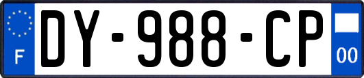 DY-988-CP