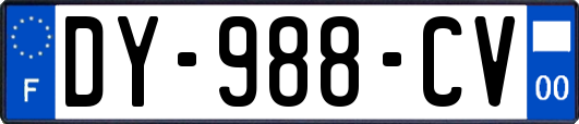 DY-988-CV