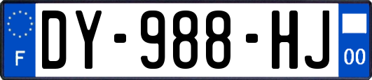 DY-988-HJ