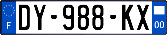 DY-988-KX