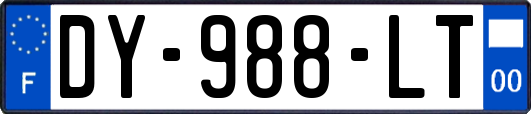 DY-988-LT