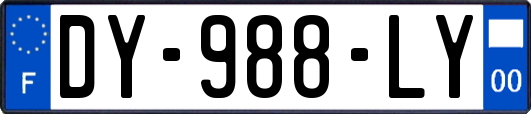 DY-988-LY