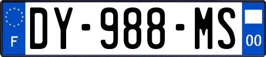 DY-988-MS