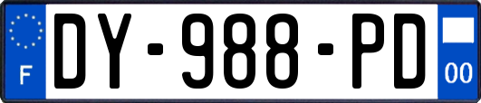 DY-988-PD