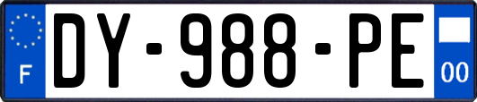 DY-988-PE