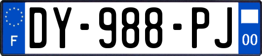 DY-988-PJ