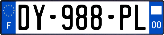 DY-988-PL