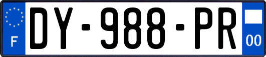 DY-988-PR