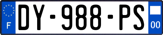 DY-988-PS