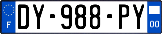 DY-988-PY