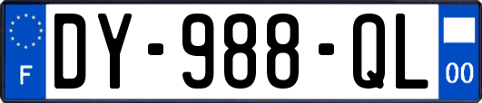 DY-988-QL