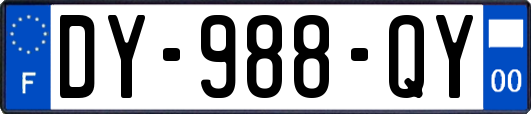 DY-988-QY