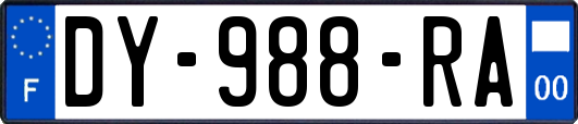 DY-988-RA