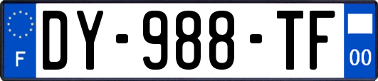 DY-988-TF