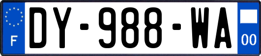 DY-988-WA