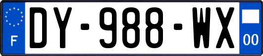 DY-988-WX