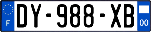 DY-988-XB