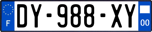 DY-988-XY