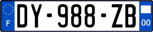 DY-988-ZB