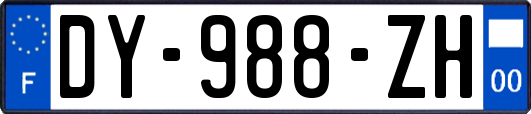 DY-988-ZH