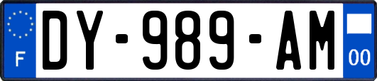 DY-989-AM