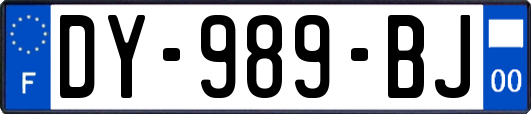 DY-989-BJ