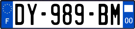 DY-989-BM