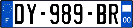 DY-989-BR