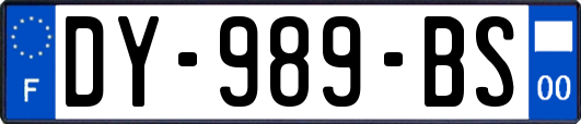 DY-989-BS