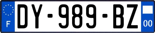DY-989-BZ