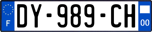 DY-989-CH