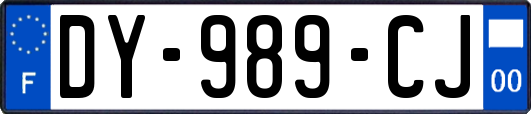 DY-989-CJ
