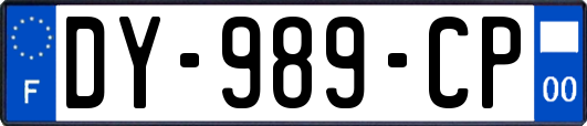 DY-989-CP