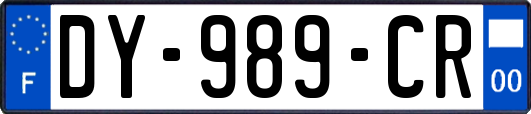 DY-989-CR