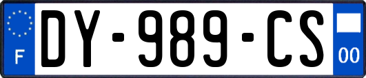 DY-989-CS