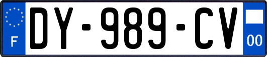 DY-989-CV