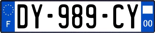 DY-989-CY