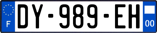 DY-989-EH