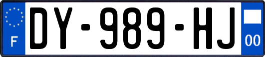 DY-989-HJ