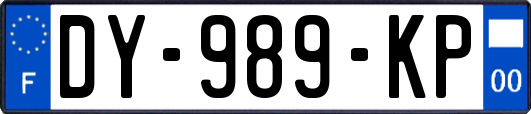 DY-989-KP