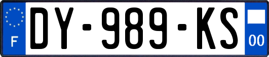 DY-989-KS