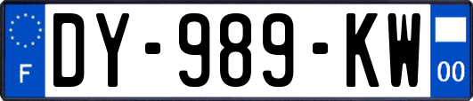 DY-989-KW