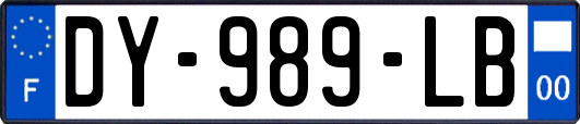 DY-989-LB