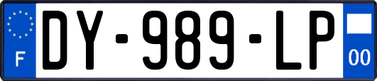 DY-989-LP