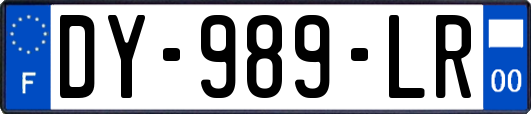 DY-989-LR