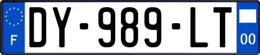 DY-989-LT